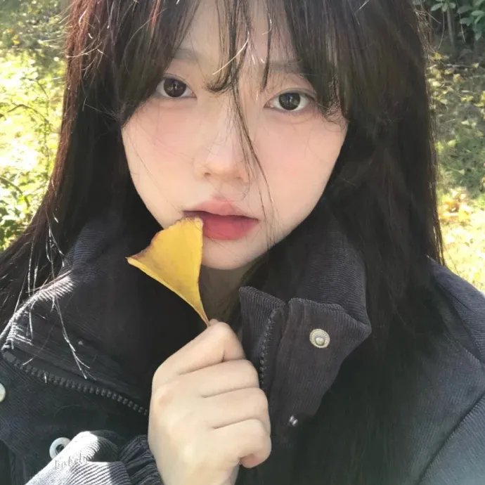 我的梦中情人2
